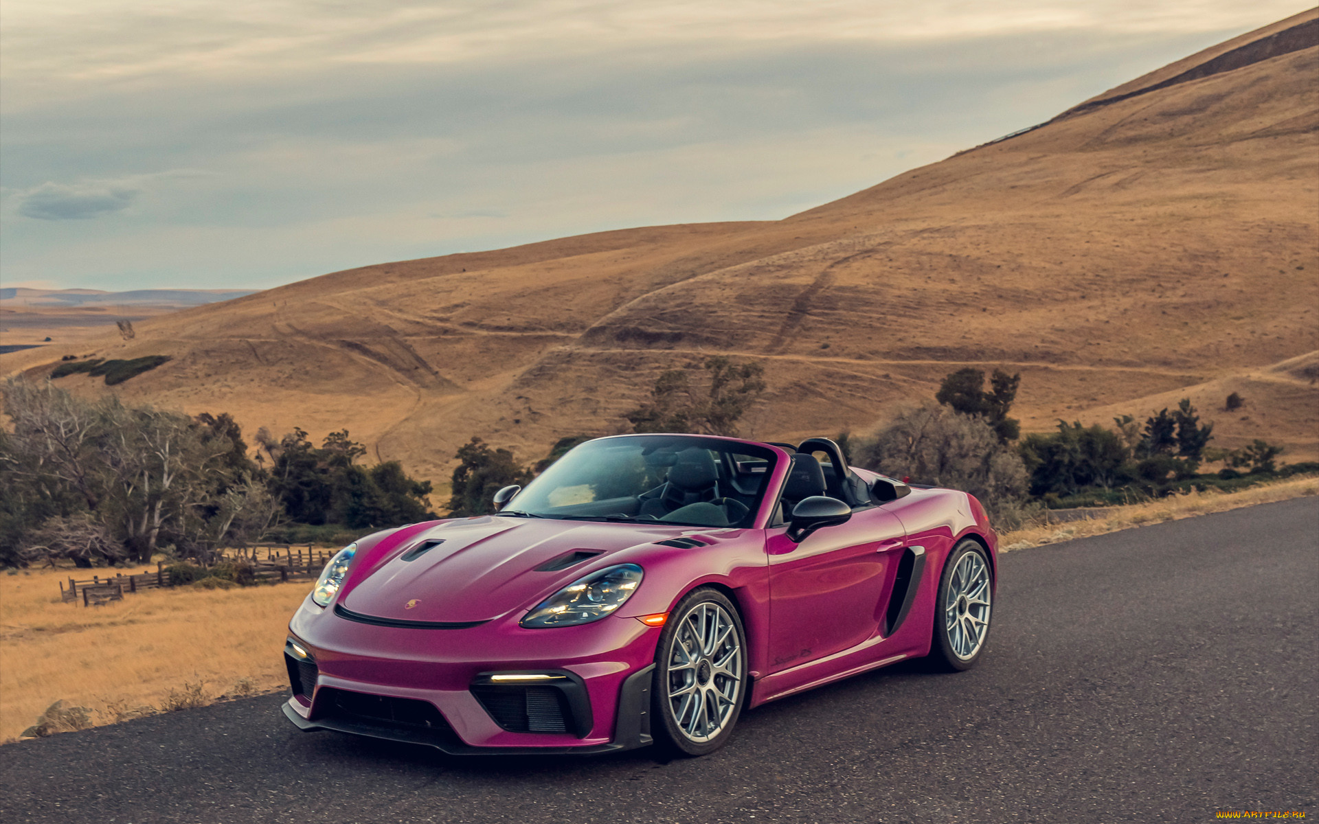 , porsche